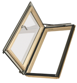 roof access window