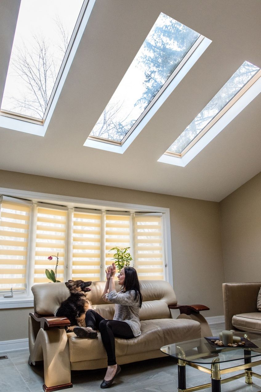 Fakro Egress Window 22 1 2 In X 45 1 2 In Venting Roof Access Skylight With Tempered Glass Lowe Fwu L 2446 The Home Depot